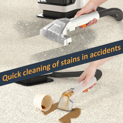 AutoMist Power Cleaner